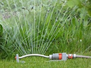 rush-water-casting-drop-of-water