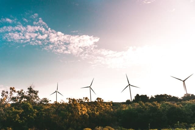 windmill-near-green-trees