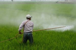 herbicide-avignon-in-rice-field