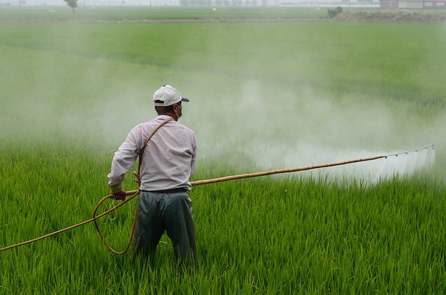 herbicide-avignon-in-rice-field