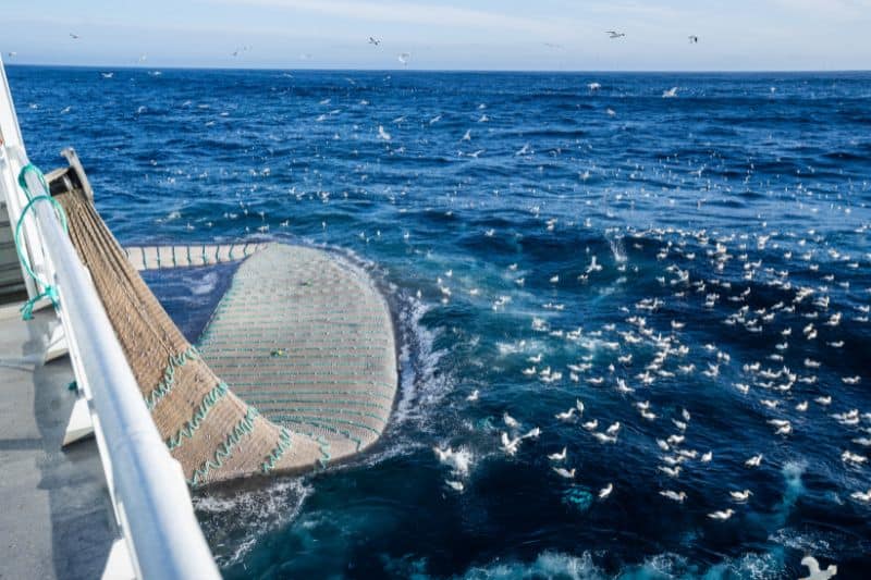 Bottom Trawling Fishing