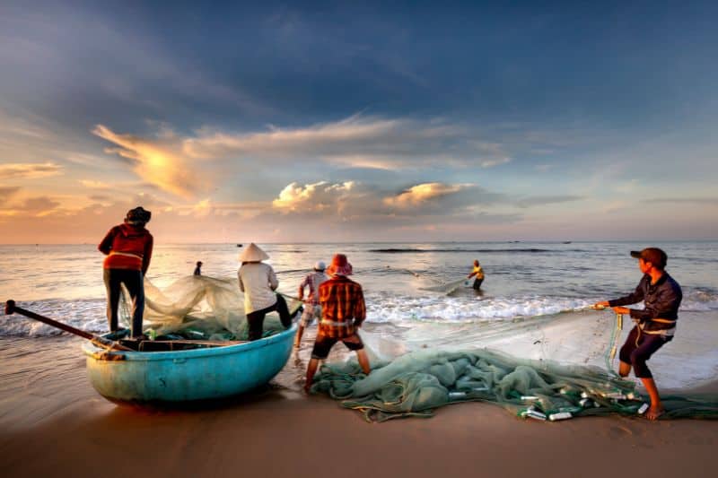 Illegal fishing causes and effects