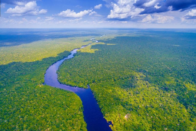 Amazon Rainforest