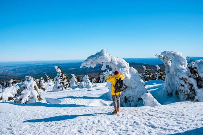 Taiga Biome Temperature