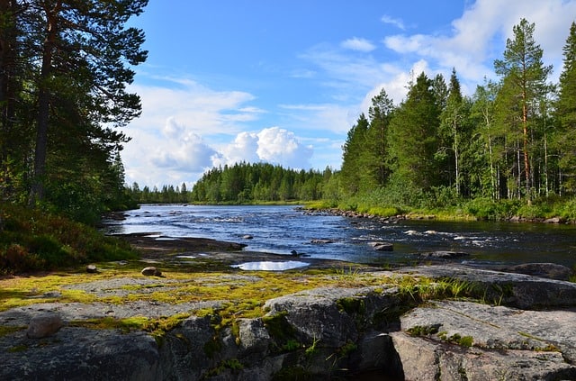 Taiga Biome: Location, Climate, Temperature, Precipitation, Plants and Animals - Conserve Energy Future Taiga Biome: Location, Climate, Temperature, Precipitation, Plants and Animals - Conserve Energy Future