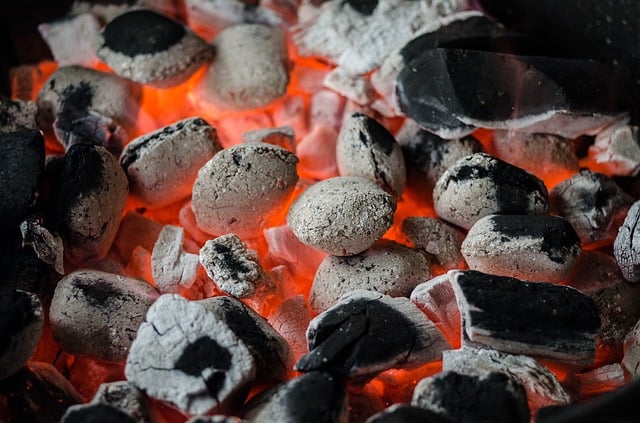 bbq-barbecue-coal-flame-grill