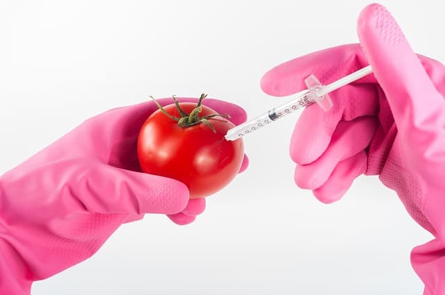 Pros and Cons of Genetically Modified Organisms (GMO's) - Conserve Energy  Future