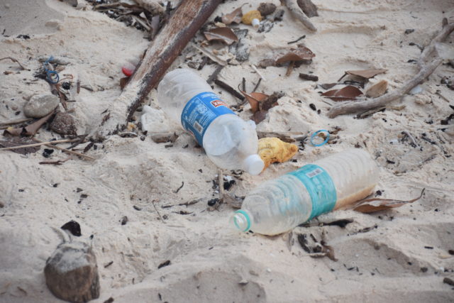 Plastic bottles on a beach in Havelock Island, India