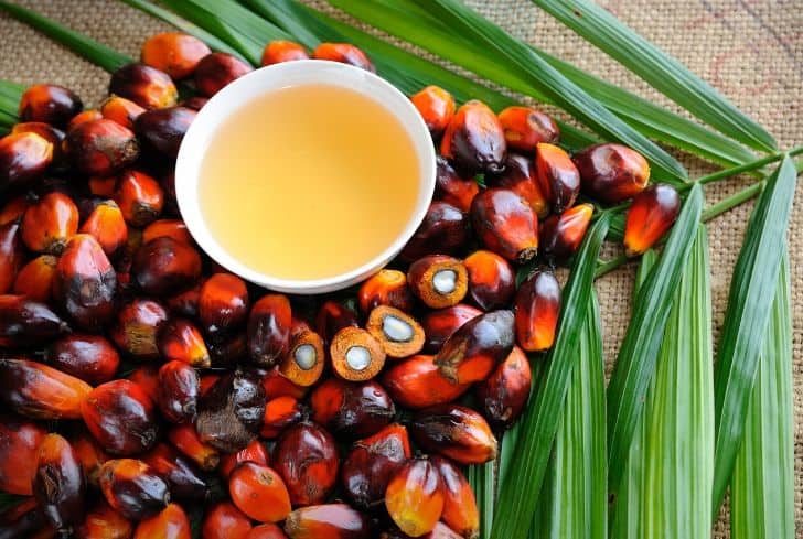 10' Powerful Reasons Why Palm Oil is Bad for the Environment