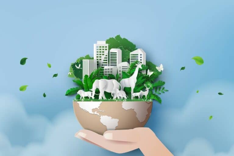 HOW CAN WE CONSERVE WILDLIFE visual data 5