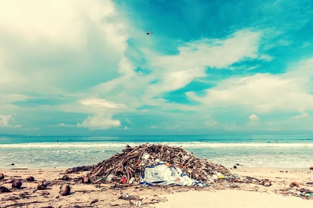 trash on the beach