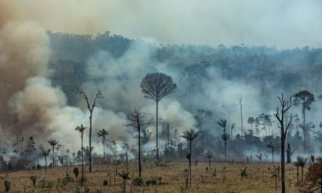 Fire-in-Amazon
