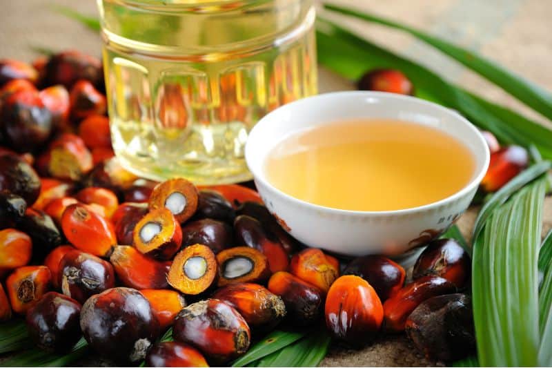 Palm oil as a forest product