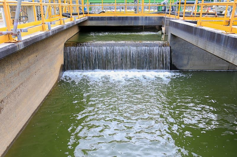 Wastewater effects