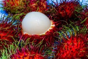 Rambutan-fruit