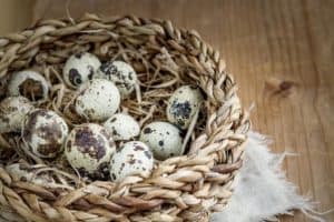 basket-quail-eggs