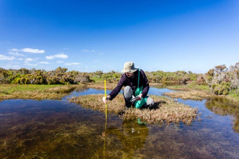 Solutions of Cultural Eutrophication