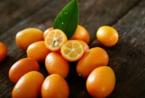 Kumquat