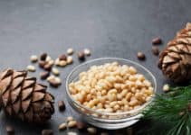 13 Health Benefits of Eating Pine Nuts (Chilgoza) on Your Mind and Body