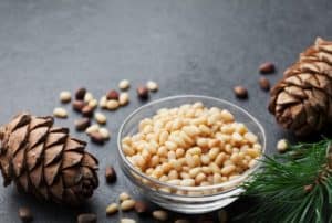 Pine Nuts