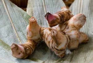 Galangal