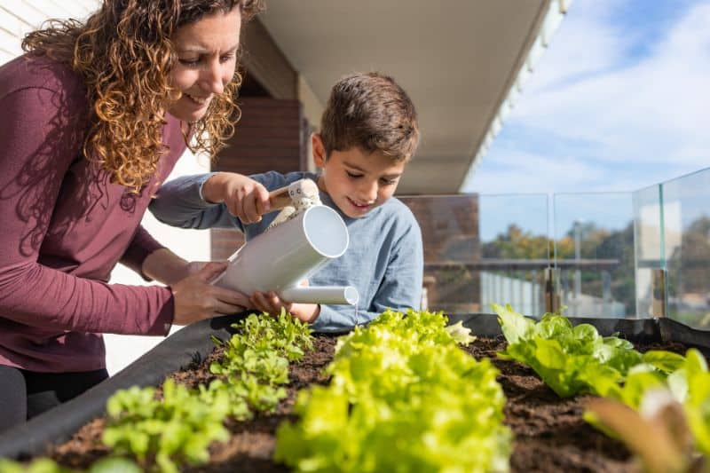 What is Urban Gardening?