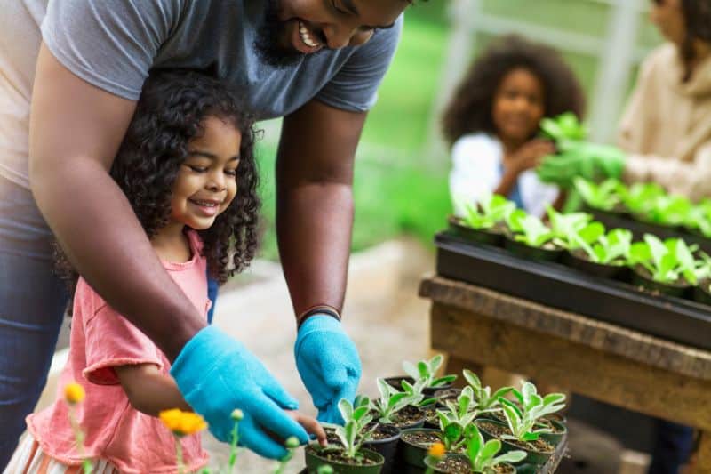 Urban Gardening Improves the Overall Human Body Wellbeing