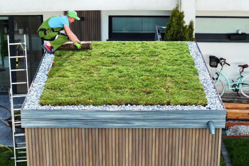 How Do Green Roofs Work?