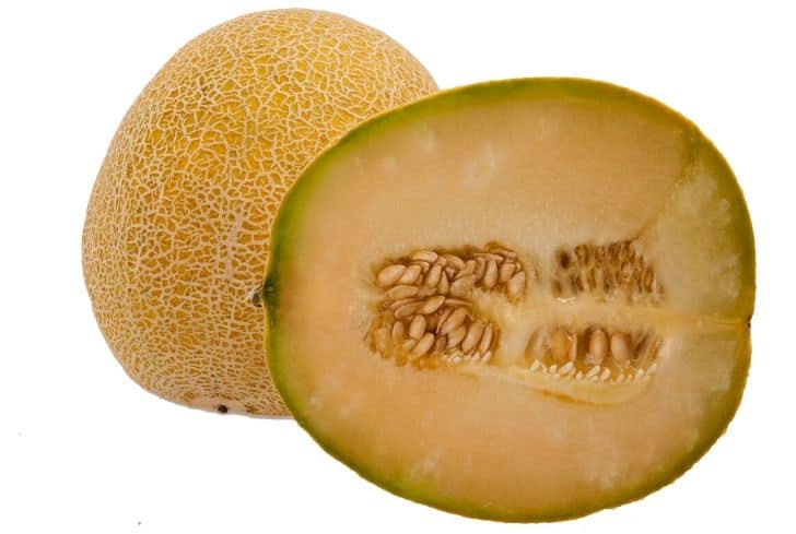 Honey Globe Melon