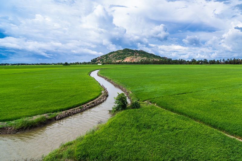 Perennial Water System