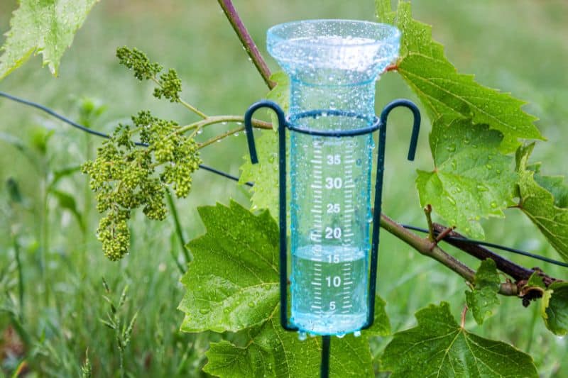 The First Weather Measuring and The Oldest Device Is the Rain Gauge