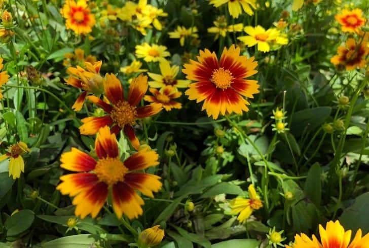 Sunflowers Artificial Flowers With Long Stem Fake Sunflowers - Temu