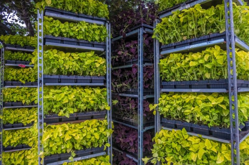 Vertical farming