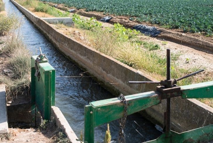 sewage-water-irrigation