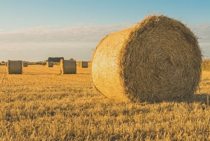 Straw Bales