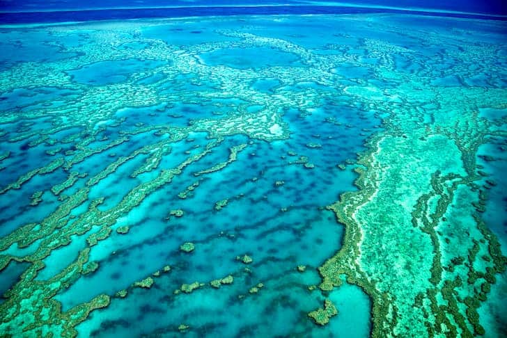 The Great Barrier Reef