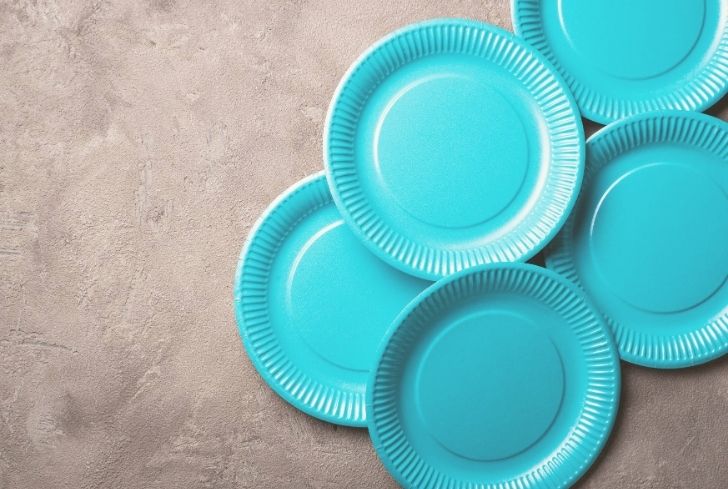 9 In. Light Blue Paper Plates - 100 Ct.