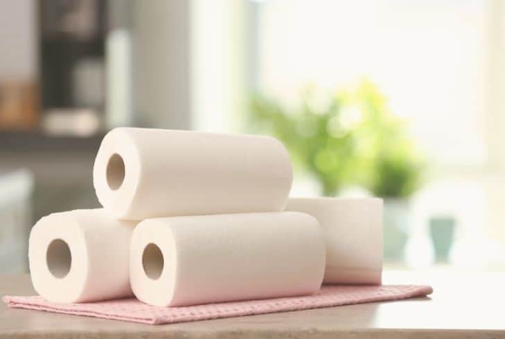 How to dispose of or recycle Toilet paper rolls and paper towel