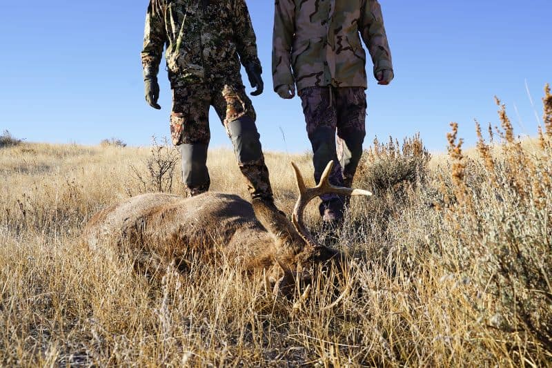 Trophy Hunting Could End Poaching