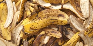 banana-peels