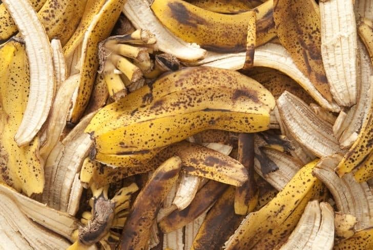 banana-peels