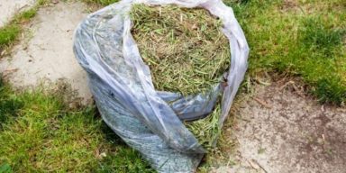 grass-clippings