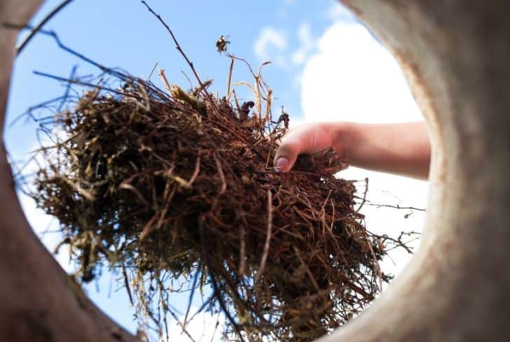 composting-organic-things