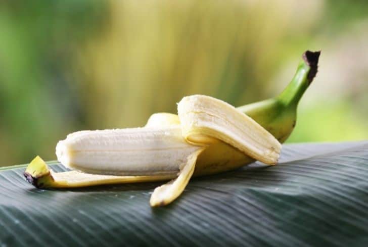 banana-peel