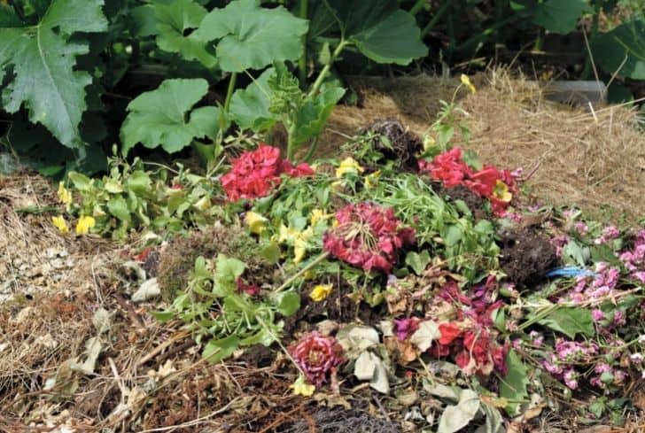 Floral Countertop Compost Bin