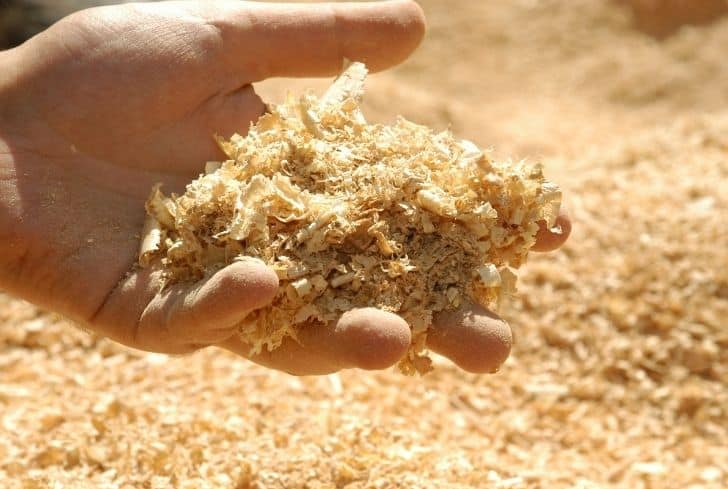 handful-of-sawdust