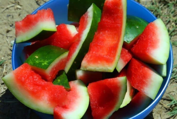 watermelon-rinds