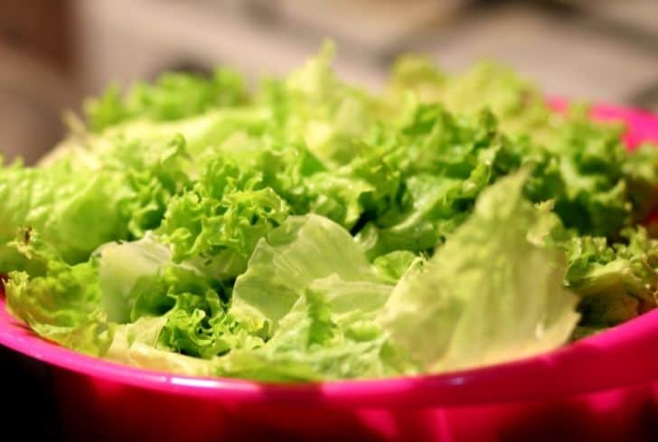 fresh-lettuce