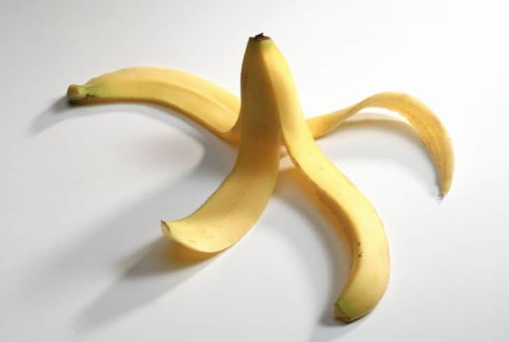 Are Banana Peels Good for Rose Plants