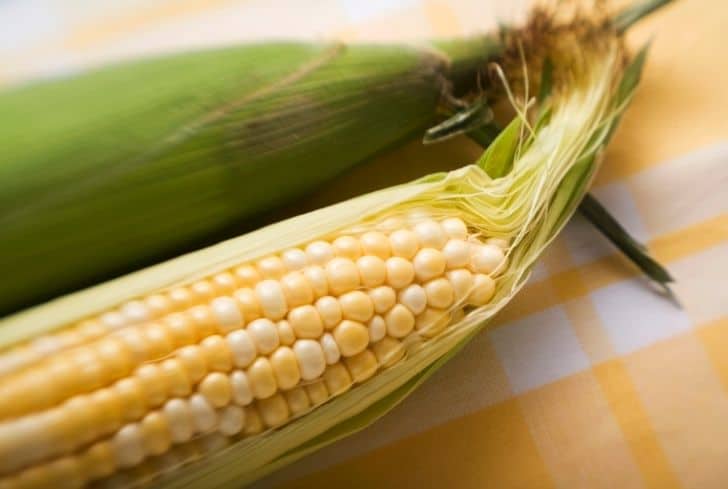 corn-cobs